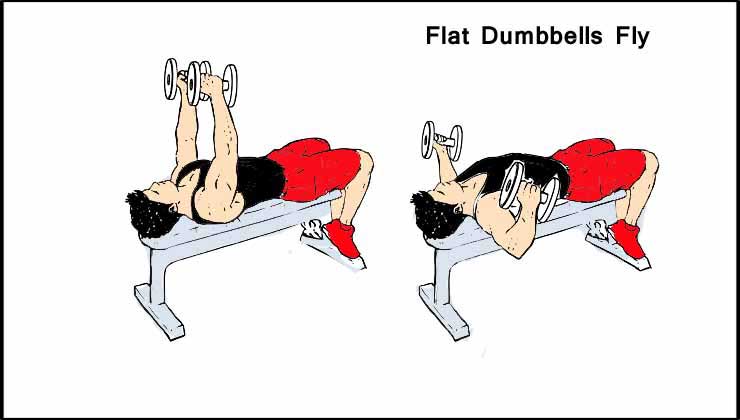 Flat Dumbbells Fly