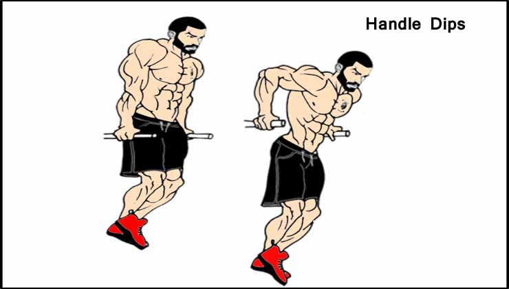 Handle Dips