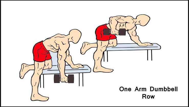 One Arm Dumbbell Row