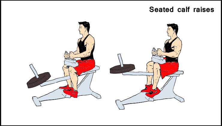 Leg Workout in Hindi Seated Calf raises