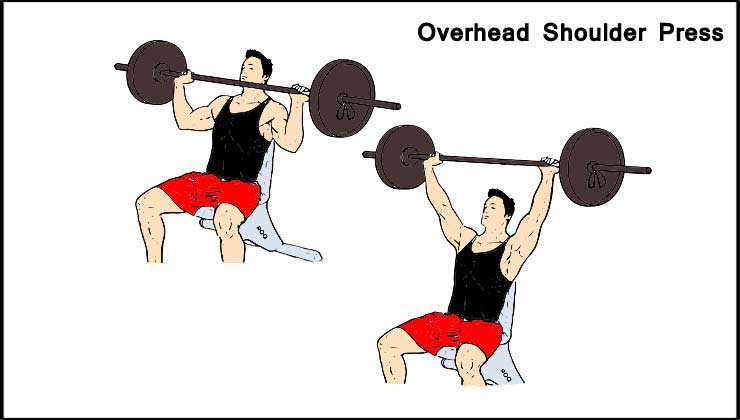 Overhead Shoulder Press for Shoulder Workout in Hindi