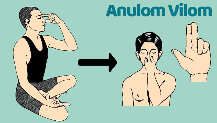 Anulom Vilom Pranayama in Hindi