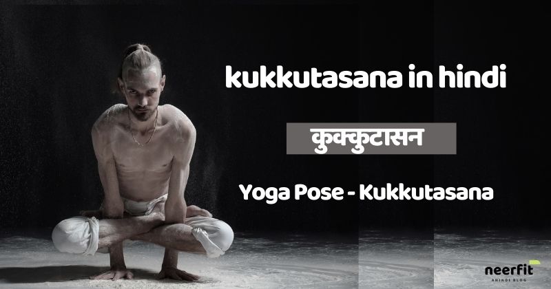 kukkutasana in hindi