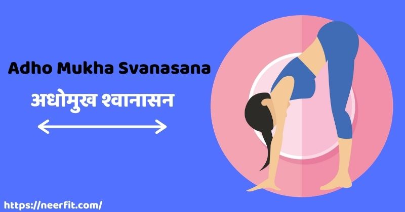 Adho Mukha Svanasana in Hindi