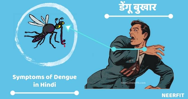 symptoms of dengue in hindi